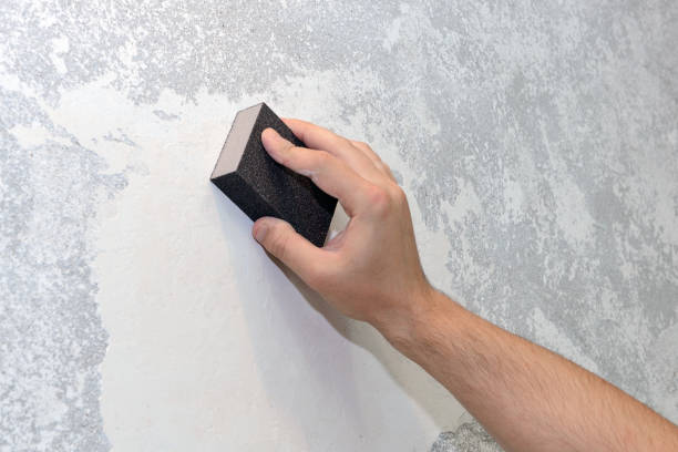 Best Environmental Consulting for Mold Prevention  in Lake Catherine, IL