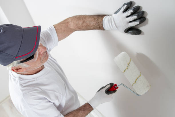 Best Commercial Mold Inspection  in Lake Catherine, IL