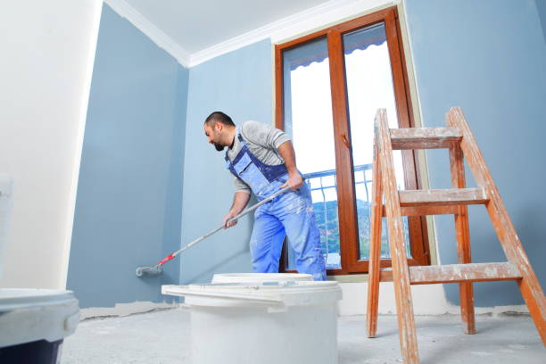 Best Post-Construction Mold Inspection  in Lake Catherine, IL