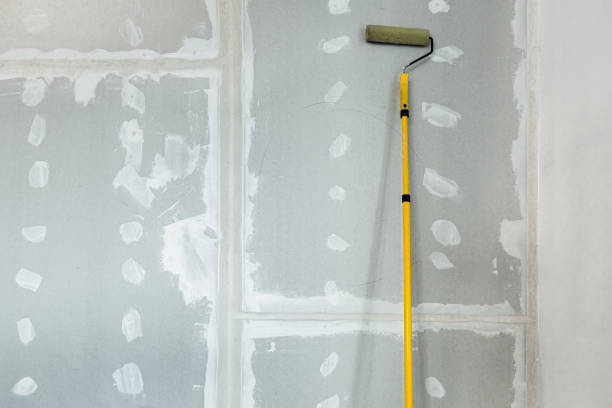 Biohazard Mold Removal in Lake Catherine, IL