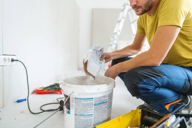Best Basement Mold Removal  in Lake Catherine, IL
