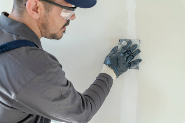 Best Black Mold Removal  in Lake Catherine, IL