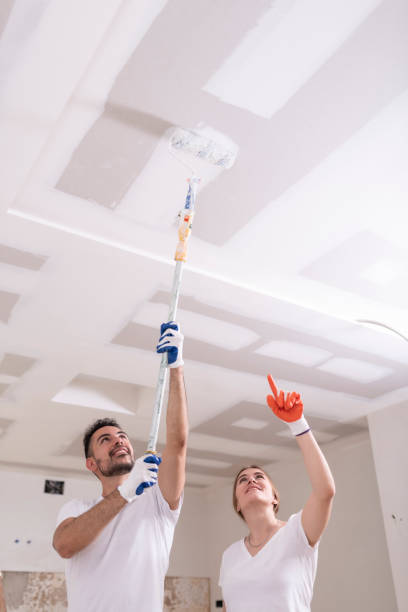 Mold Remediation for Vacation Homes in Lake Catherine, IL