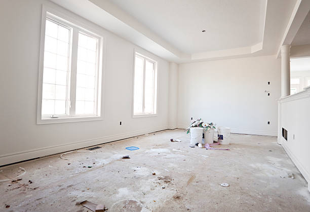 Best Basement Mold Removal  in Lake Catherine, IL