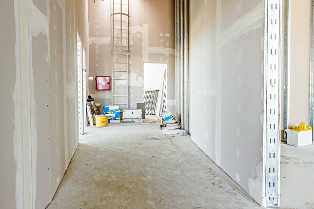 Best Industrial Mold Remediation  in Lake Catherine, IL