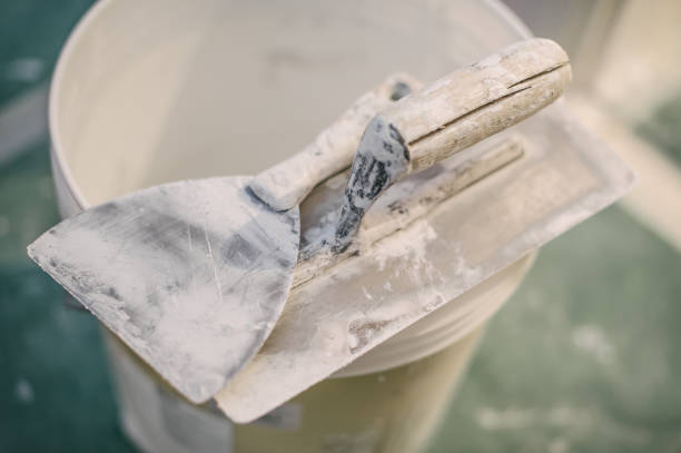 Best Mold Prevention Services  in Lake Catherine, IL