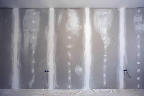 Best Residential Mold Inspection & Testing  in Lake Catherine, IL