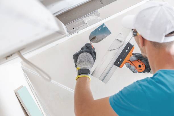 Best HVAC Mold Inspection and Cleaning  in Lake Catherine, IL